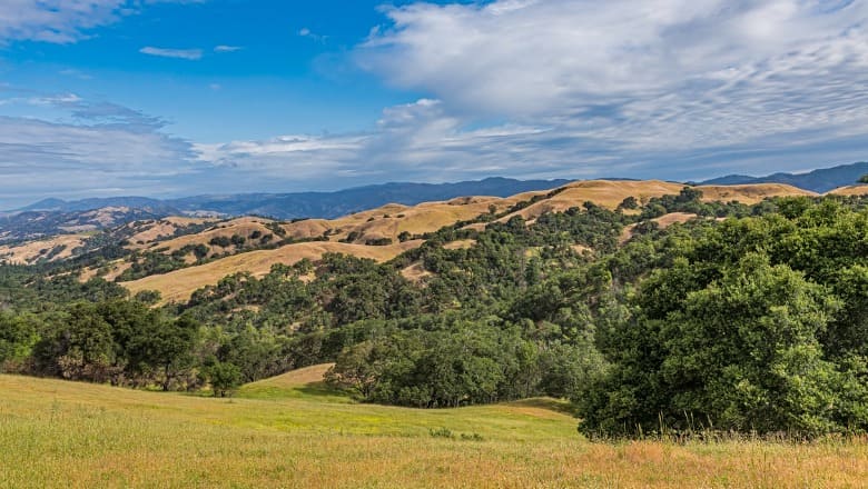 Santa Rosa, California